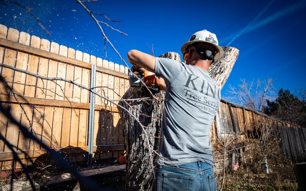 Images King Tree Service