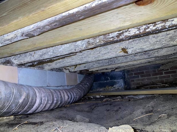 Images Hazmatt Pest Control