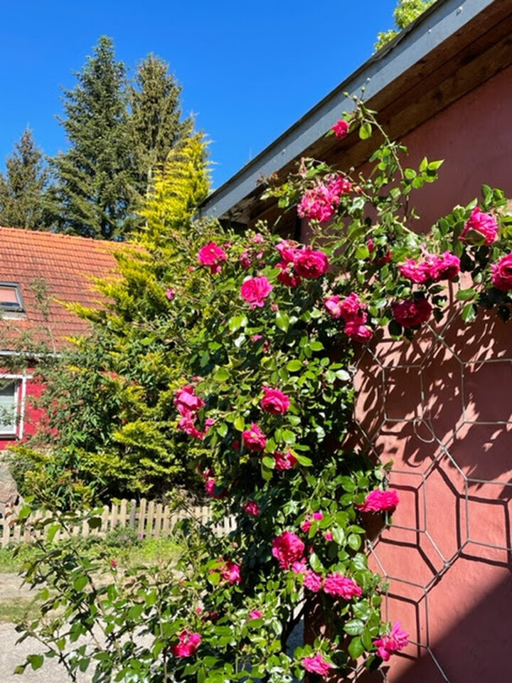 Bilder Ferienhaus am Fluss