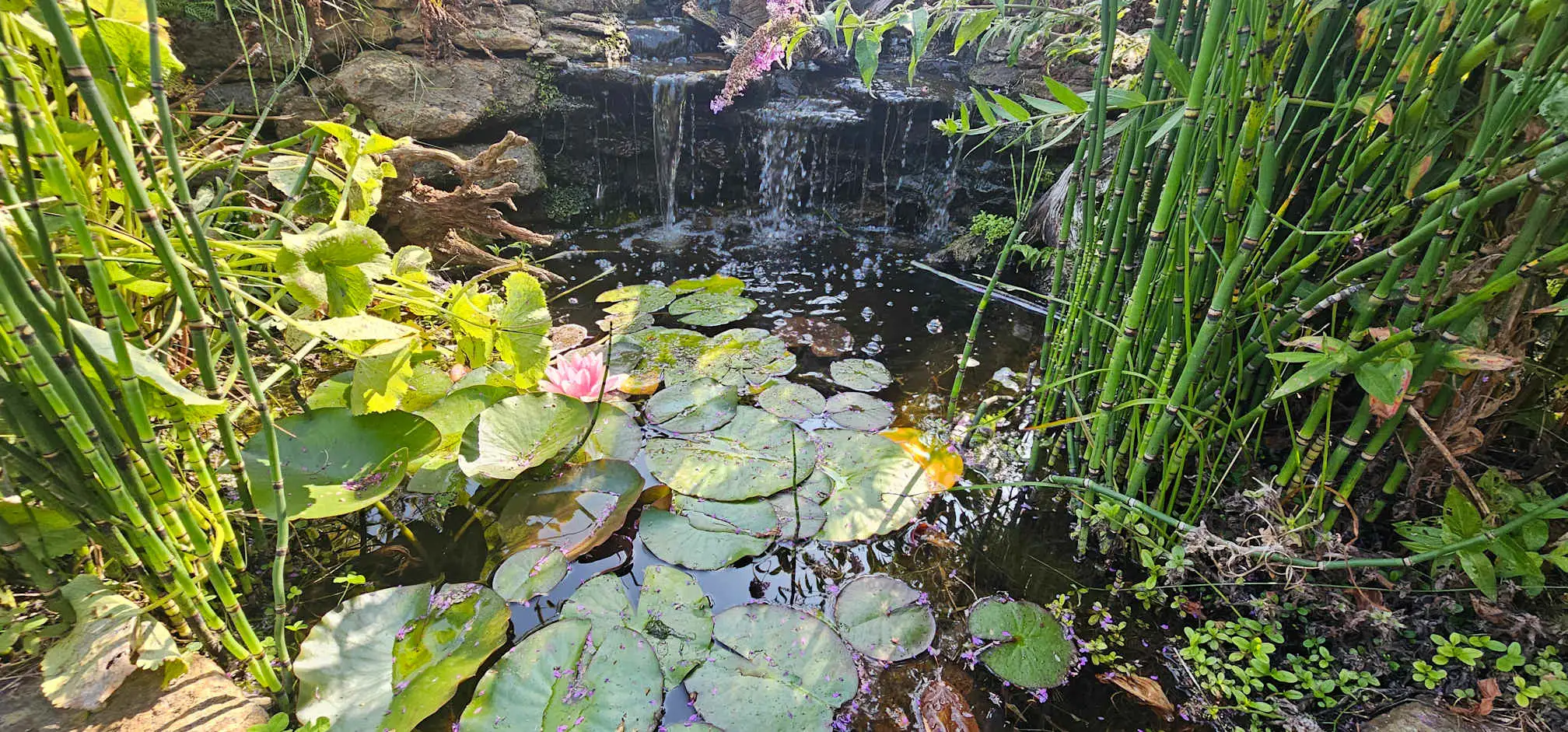 Images Waterfalls Naturally Ltd