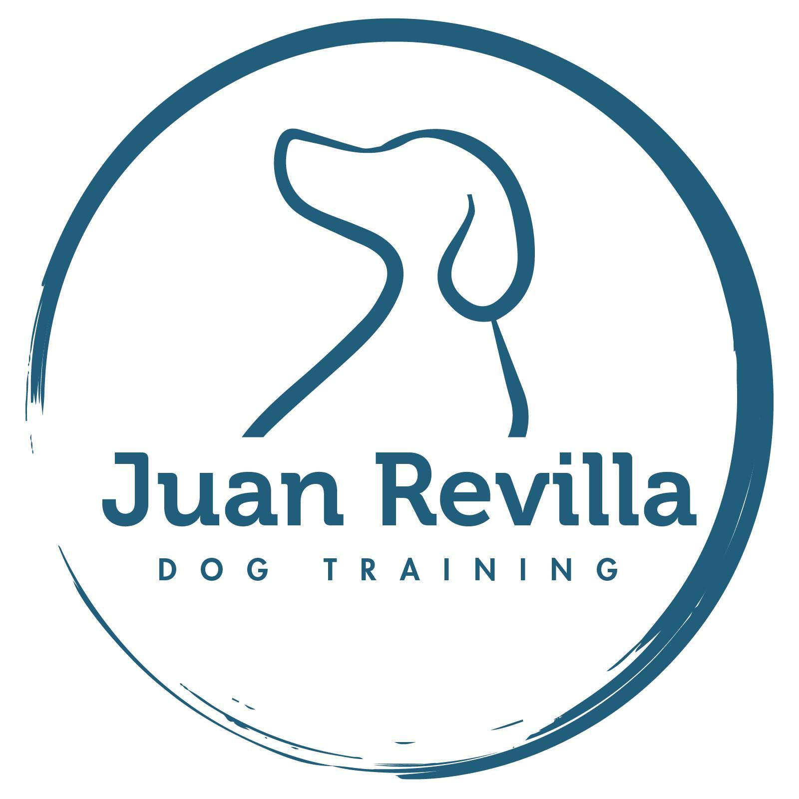 Juan Revilla Dog Training Madrid