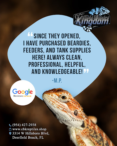 Images Cold Blooded Kingdom