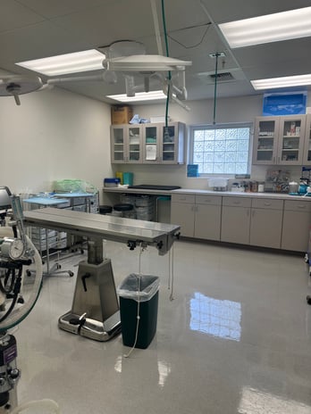 Images VCA Ponti Animal Hospital