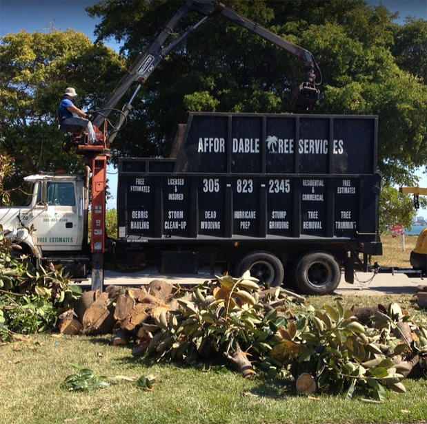 Images Affordable Tree Service Inc. - Tree Service Miami