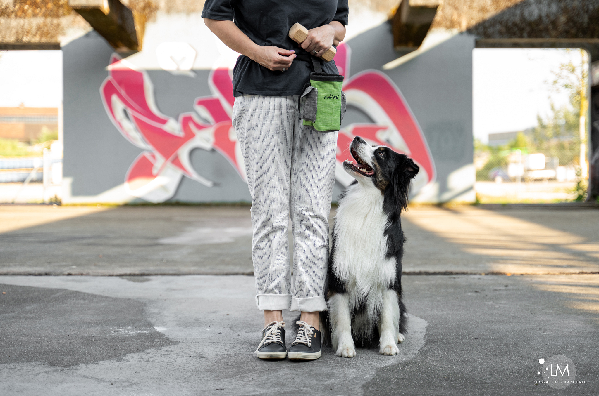 Bilder Lina, Hundert Prozent wau, Gesundheit, Training und Unterstützung für Hunde und ihre Menschen, Sandra Egli