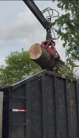 Images Peterman Brothers Tree Service LLC