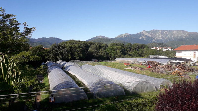 Images Azienda Agricola Barone