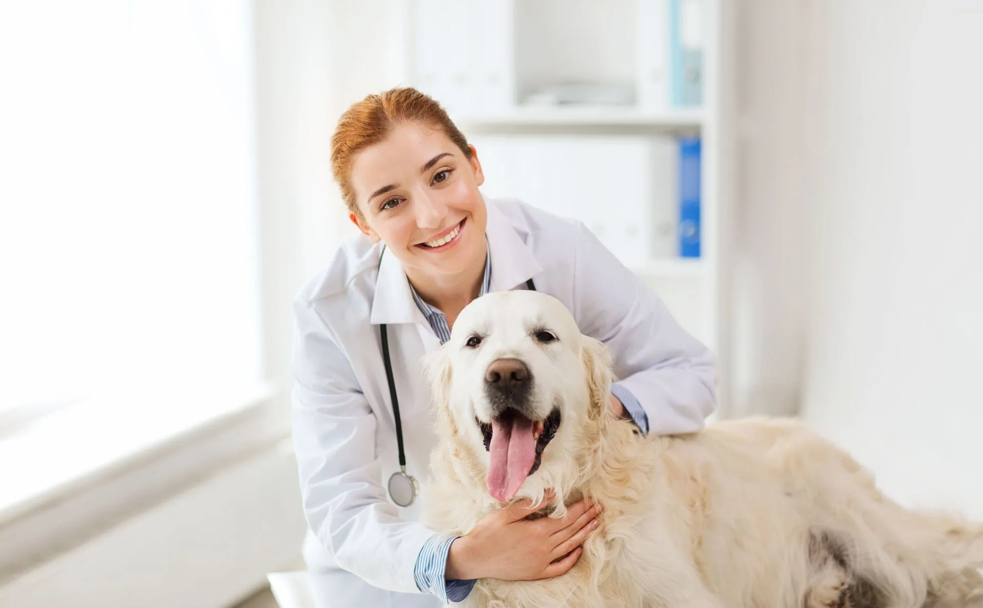 Gambrills Veterinary Center
