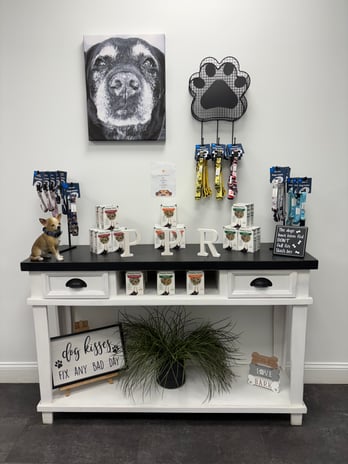 Images Playtime Pet Resort