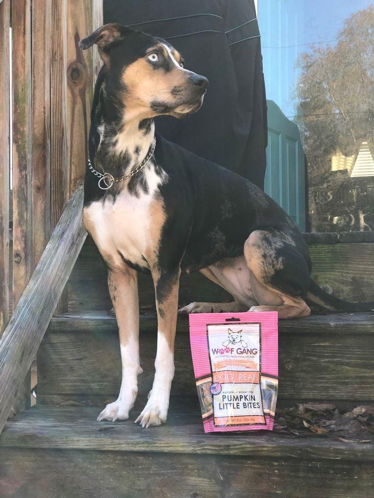 Woof Gang Bakery & Grooming Doral