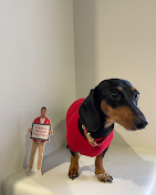 Images John Cole - State Farm Insurance Agent