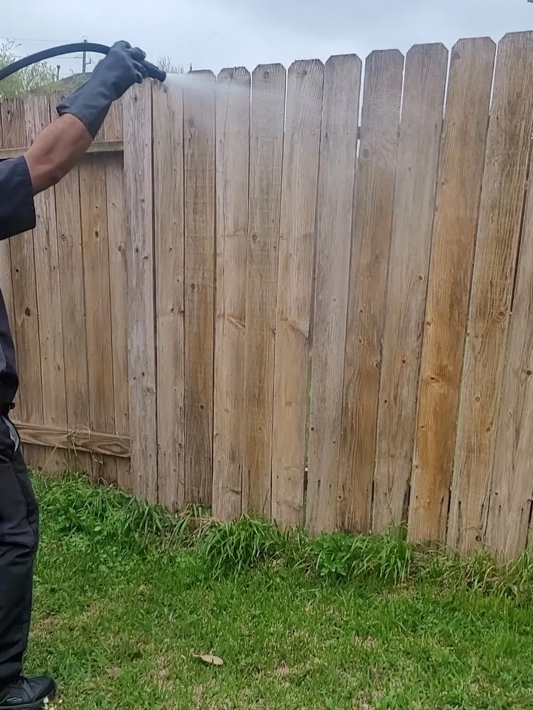 A person wearing black gloves is spraying a wooden fence with a black hose. The fence is made of vertical wooden planks and is weathered. Green grass is growing at the base of the fence.