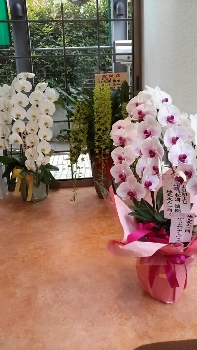 Images LUMIE hair & make