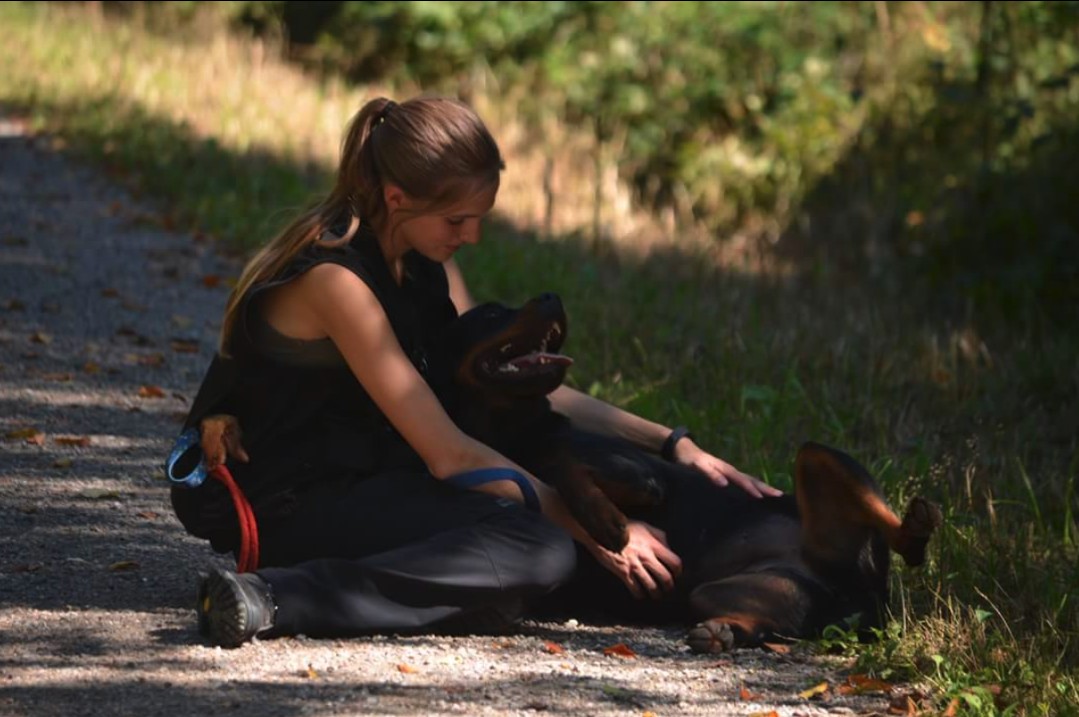 Bilder Hundeschule Zürioberland