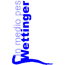 Logo fuß & schuh Wettinger Orthopädie Podologie Schuhe