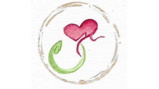 Images Silvia Mota - Terapeuta Gestalt