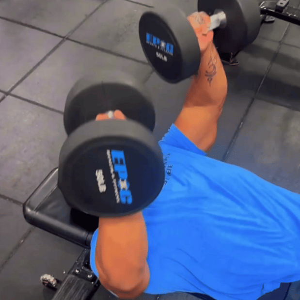 Images Epic Health & Fitness St. Pete