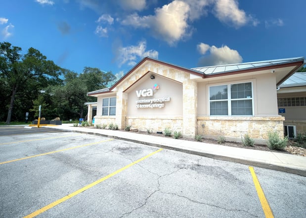 Images VCA Veterinary Hospital of Leon Springs