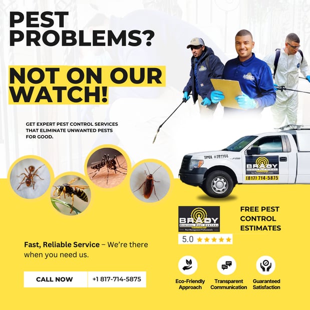Images Brady Pest Control