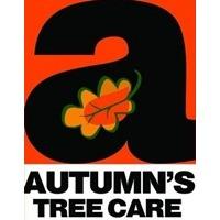 Autumn's  Tree Service LLC - Madison, WI - (608)294-9604 | ShowMeLocal.com