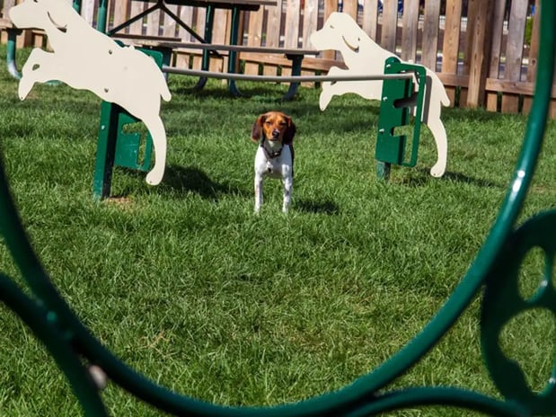 Images Wood Creek Apartments