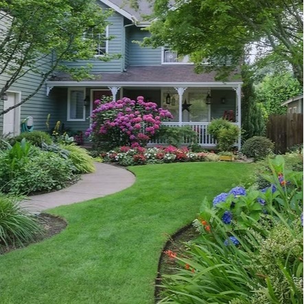 front yard landscape