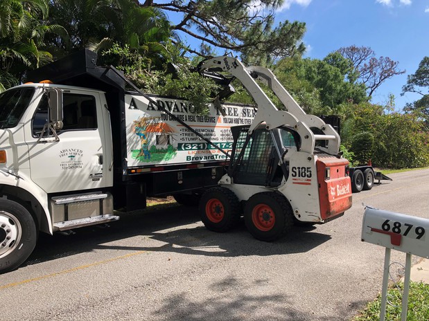 Images A Advanced Tree Service