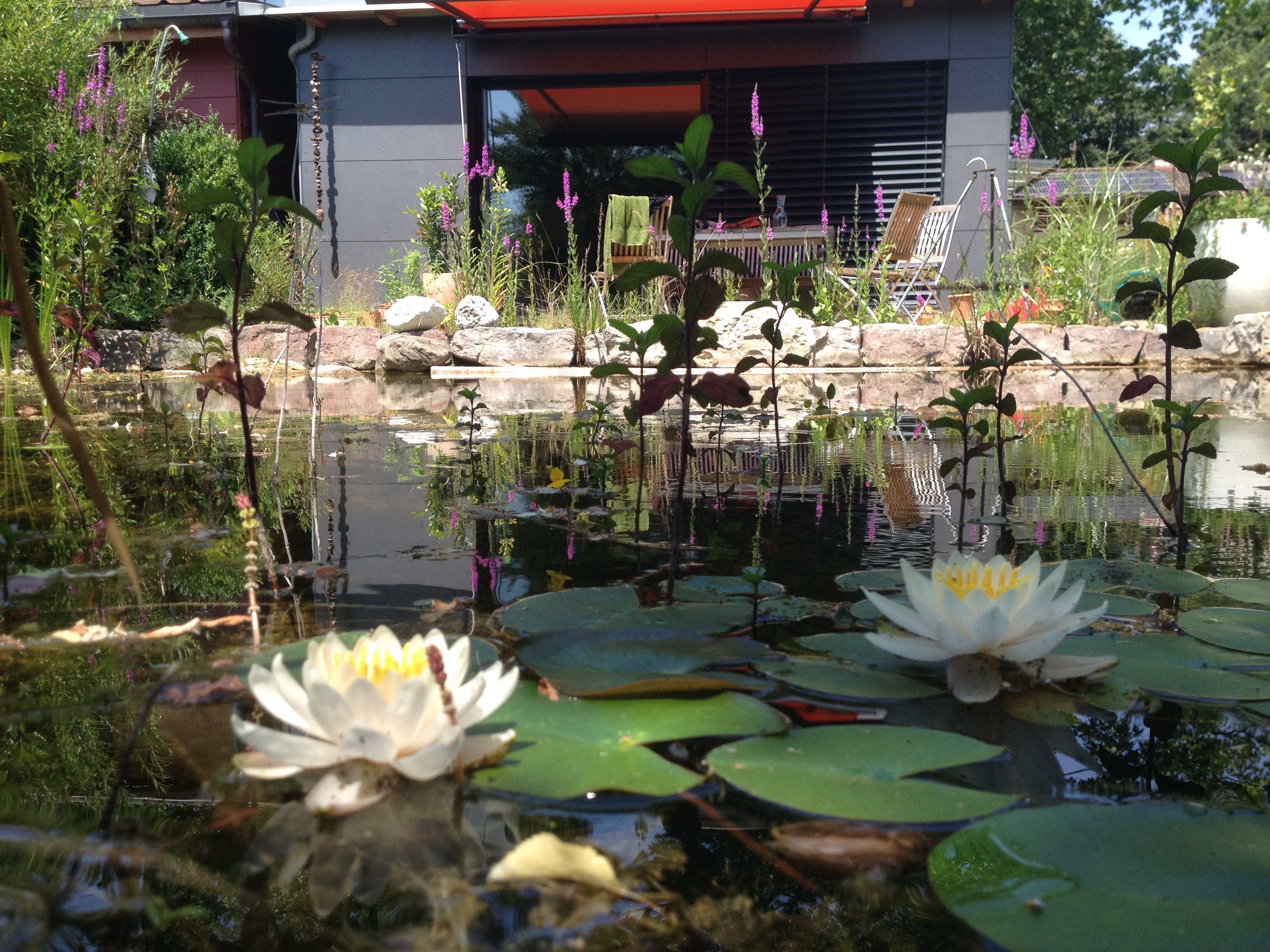 Naturgärtner.ch - Naturgarten Fachbetrieb Bioterra, Eichenstrasse 32 in Schaffhausen