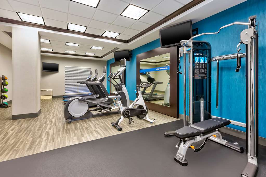 Health club  fitness center  gym Hampton Inn and Suites Flint/Grand Blanc Flint (810)234-8400