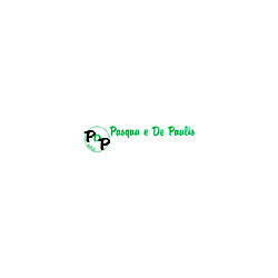 Pdp S.a.s. di De Paulis Alessio, Daniele e Davide Logo