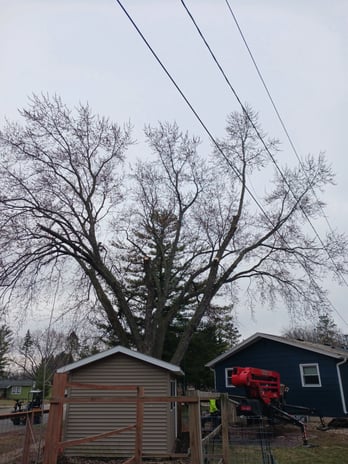 Images Steven R Bassett Inc.