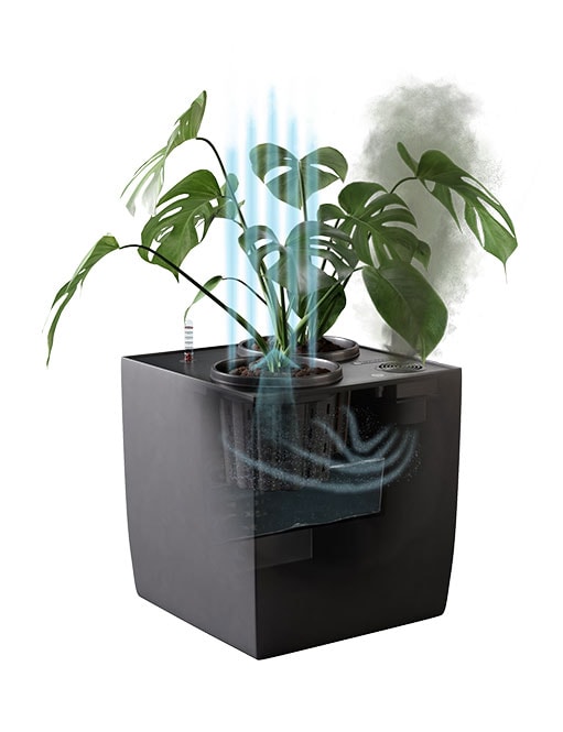 Florafilt Luftreiniger GmbH, Dorfstraße 99 in Bersteland