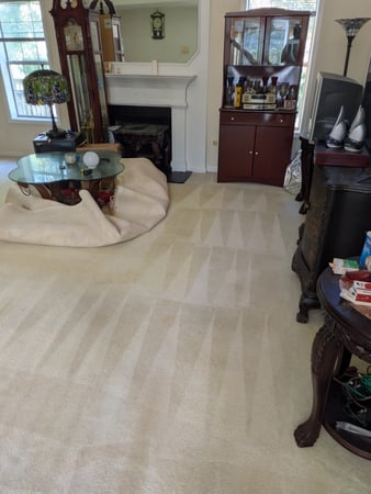 Images Purifications Carpet Cleaning