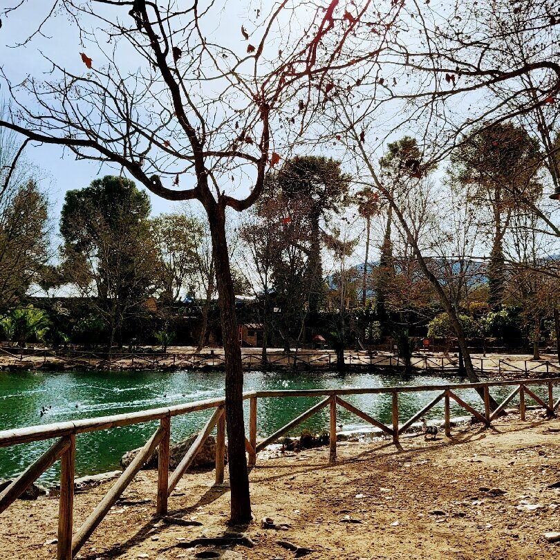 Images CASA Y CABAÑA DEL LAGO