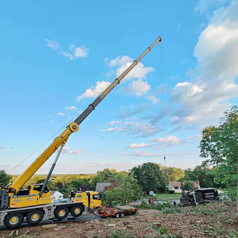 Martel Crane Service & Tree Removal Image