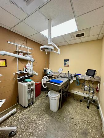 Images VCA Noah’s Place Animal Medical Center
