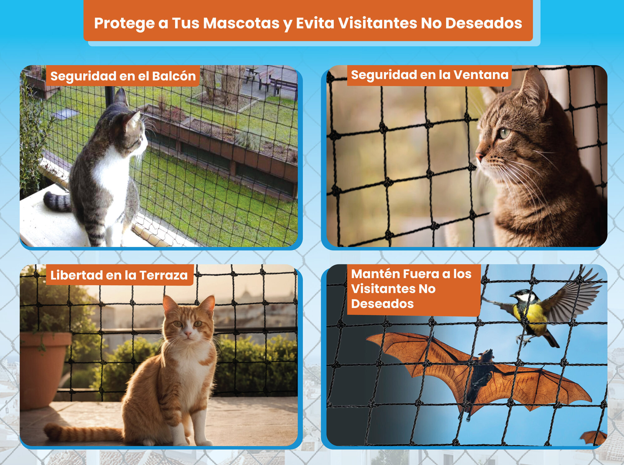 Images .DALARES