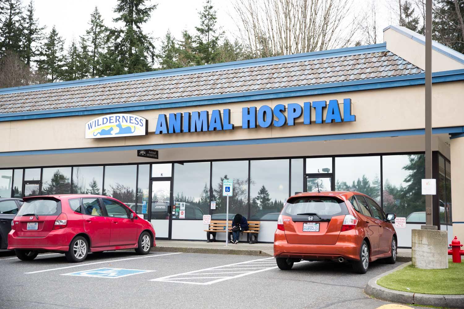 Wilderness Animal Hospital Photo