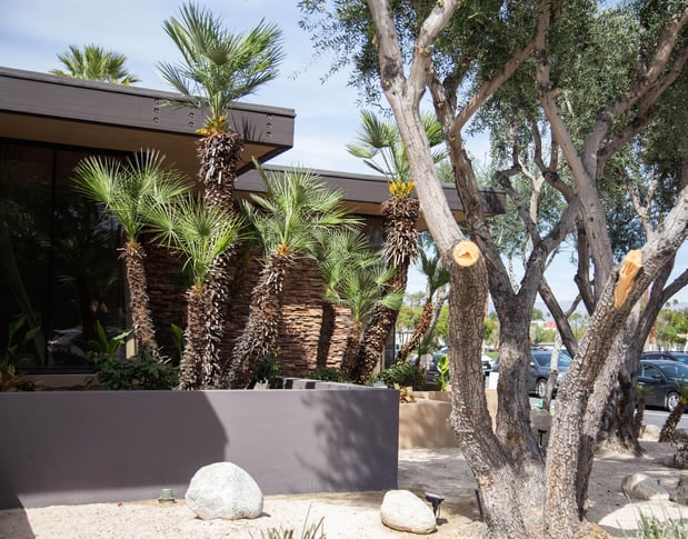 Images Headlight Therapists & Psychiatric Services Palm Desert