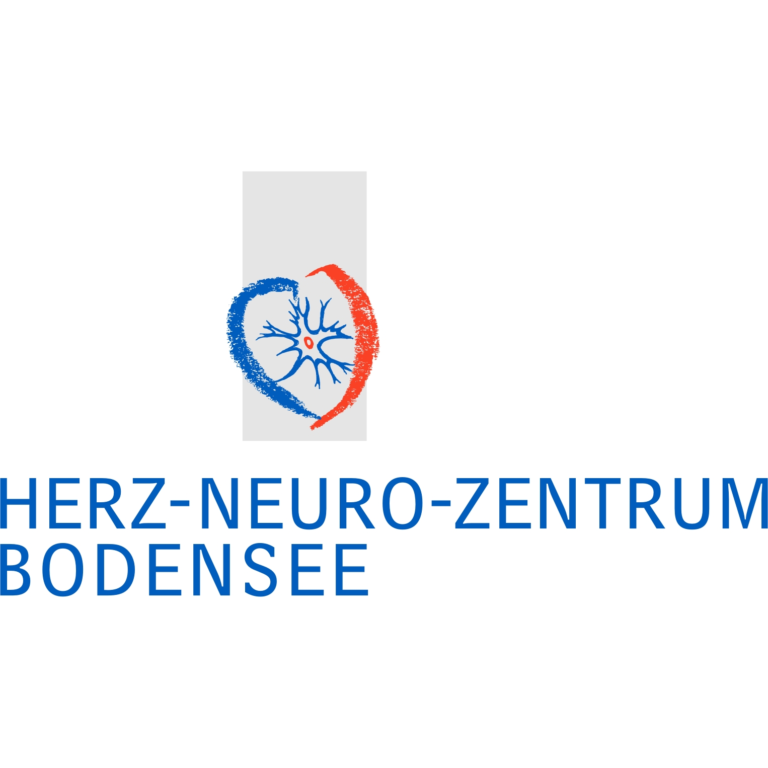 Herz-Neuro-Zentrum Bodensee AG Logo