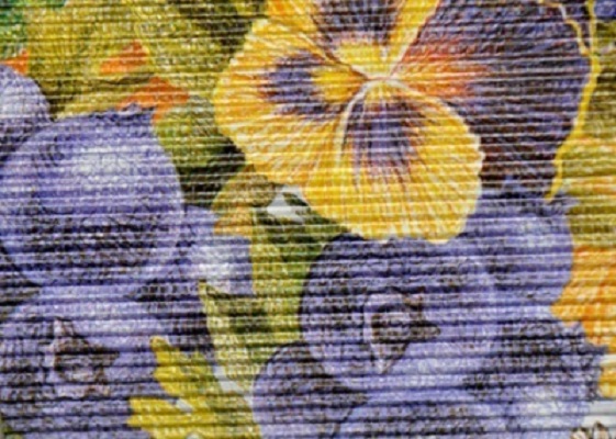 Images Cartondul Di Maule Walter
