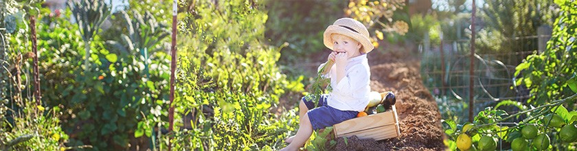 Pure Nature Products Versand GmbH, Zur Rothheck 14 in Idar-Oberstein