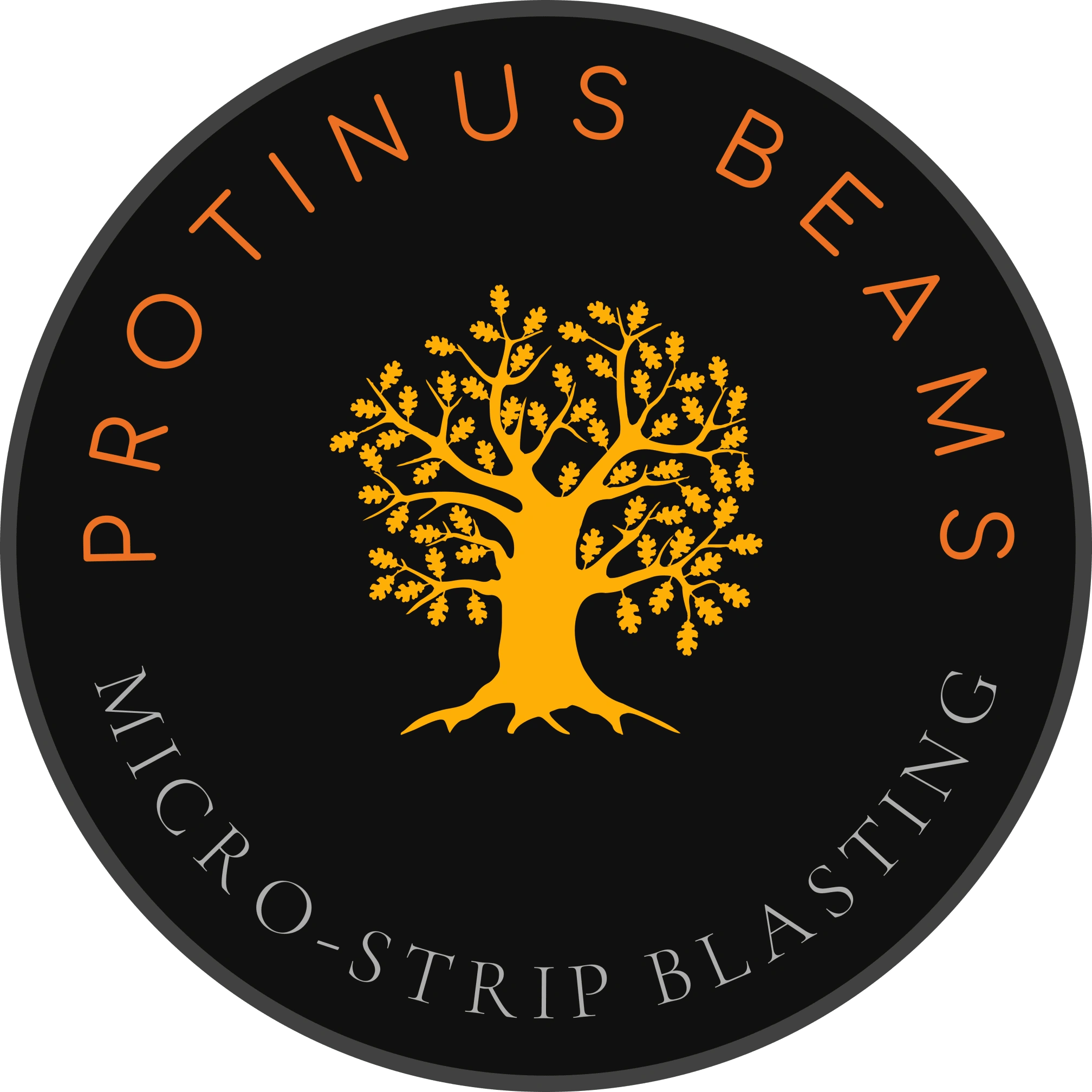 company logo