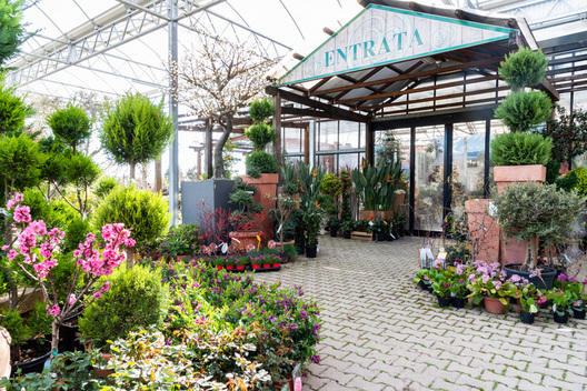 Images Azienda Agricola Florovivaista Toscogarden