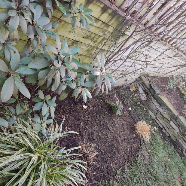 Images Johnson's Landscaping Service