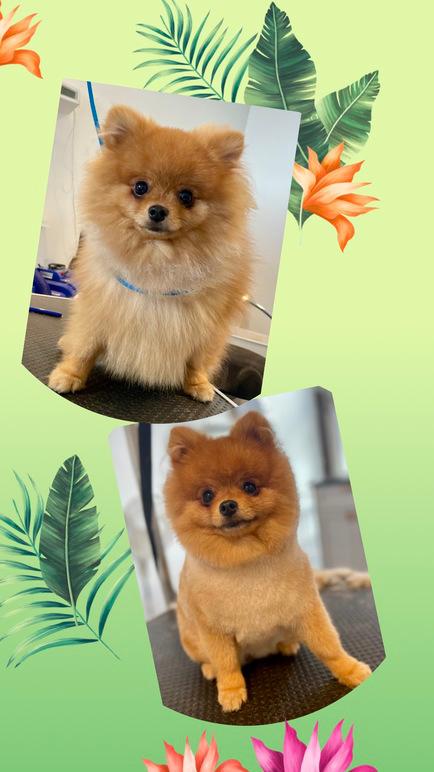 Images 4 Tassarnas Trim AB