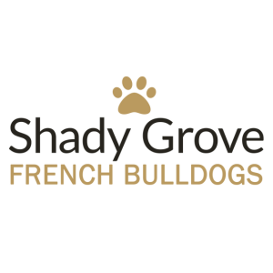 Shady Grove French Bulldogs