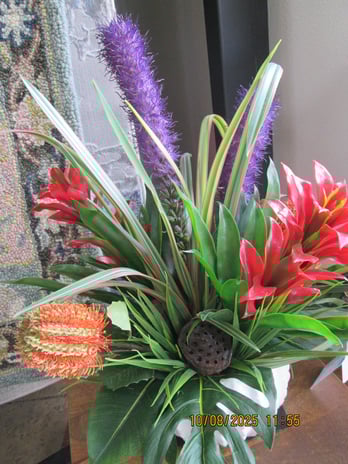 Images Foxy Rug & Furniture Galleria