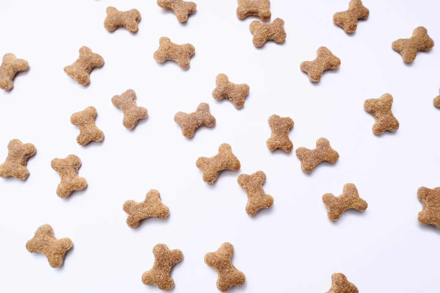 Image of Local Pet Event 🍪 National Dog Biscuit Day 🍪 Nearby