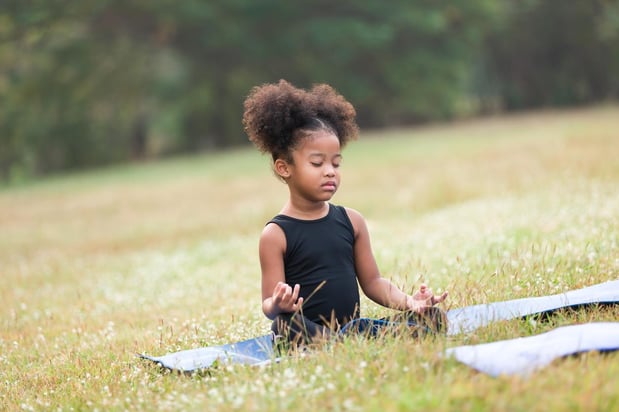 Images Root & Roar Yoga